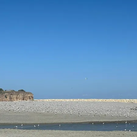 Casa Blanca Case de vacanță Olimp