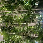 Casa Blanca 度假居 *